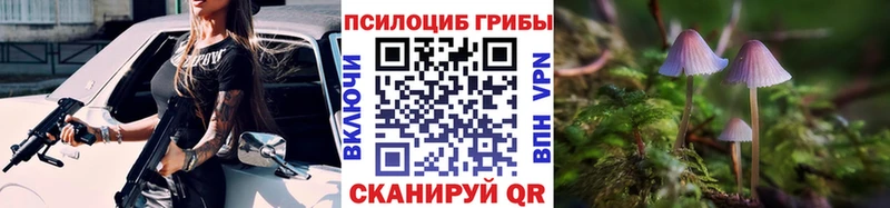 Купить  Хабаровск  Псилоцибиновые грибы мицелий 